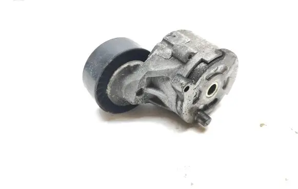 Fiat Doblo Generator/alternator belt tensioner 55244469