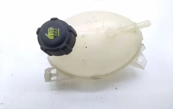 Dacia Lodgy Coolant expansion tank/reservoir 217107259R