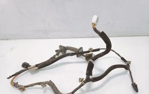Hyundai Elantra Rear door wiring loom 916422d010