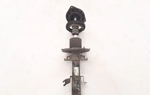 Renault Scenic III - Grand scenic III Front shock absorber/damper 543020017R