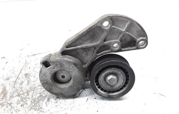 Volkswagen Phaeton Generator/alternator belt tensioner