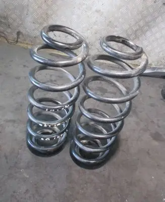 Volkswagen PASSAT B6 Rear coil spring 