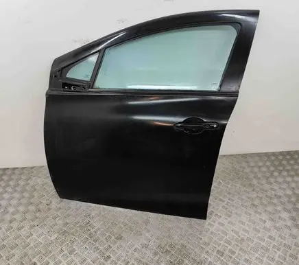 Renault Zoe Front door 801011691R
