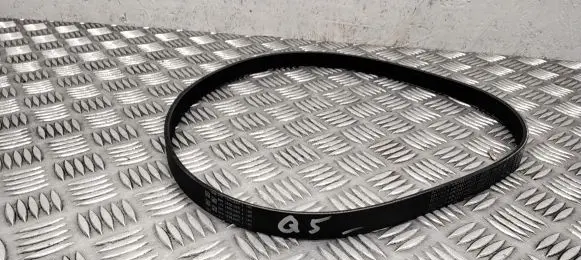 Audi Q5 SQ5 Alternator belt 05L903159