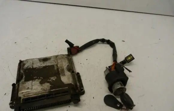 Peugeot 206 Engine control unit/module 0281010250