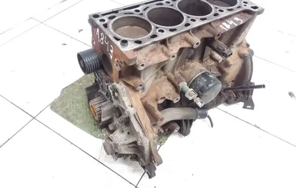 Renault Scenic I Engine block 063410Z G008857