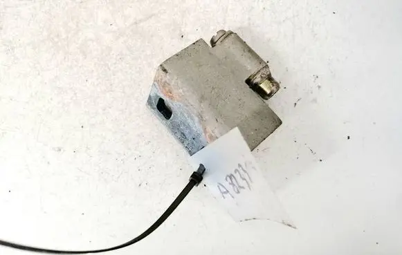 BMW X5 E53 Rear door lower hinge 415182651529