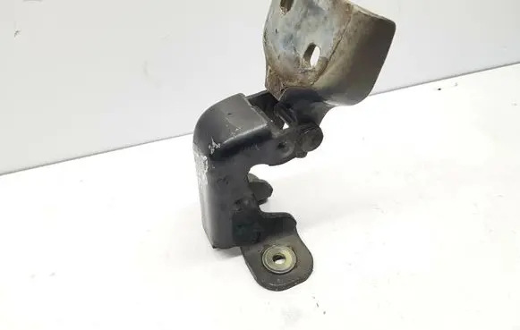 Renault Trafic II (X83) Front door upper hinge 311772G nr8299