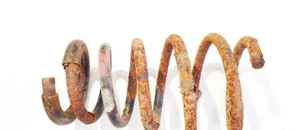 Rear coil spring
