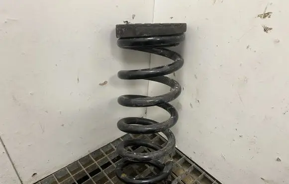 Ford Mustang VI Rear coil spring FR3C5560LA