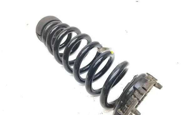 Rear coil spring