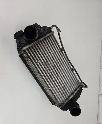 KIA Sportage Intercooler radiator 282702F650