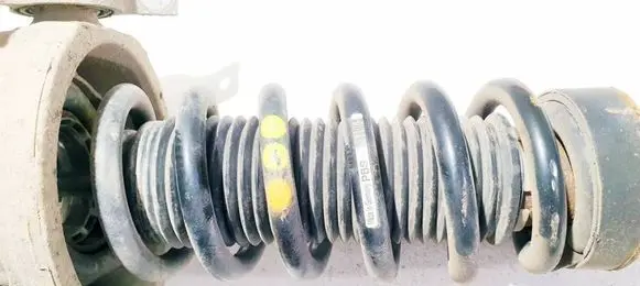 Rear coil spring