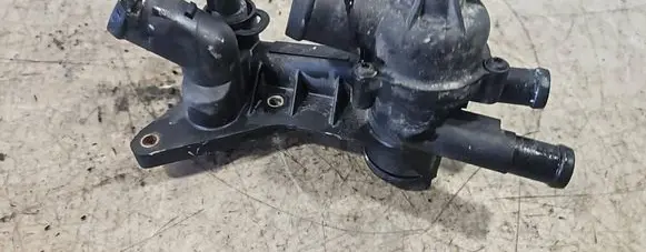 Thermostat/thermostat housing