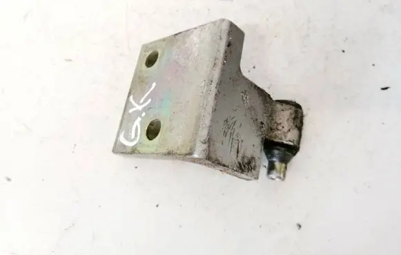 Peugeot 406 Rear door lower hinge