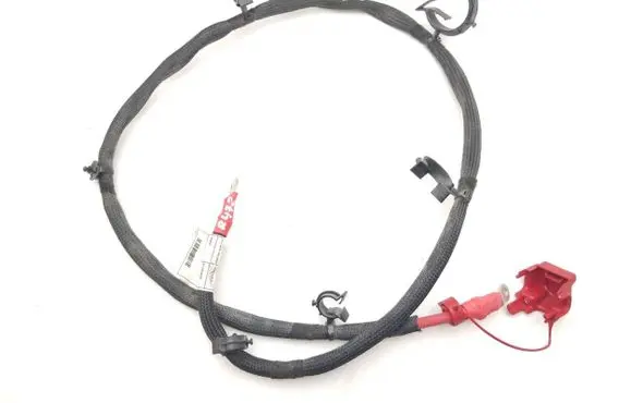 Engine installation wiring loom