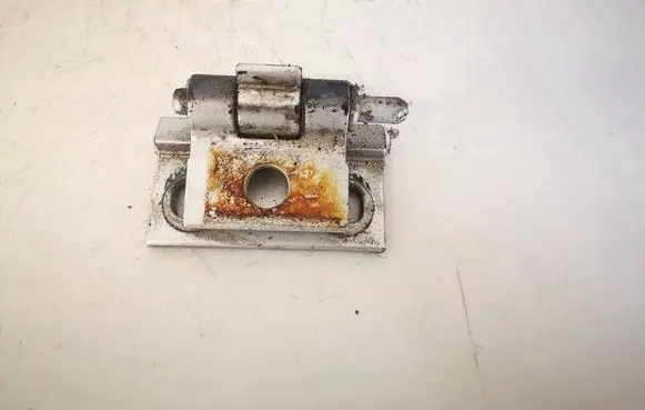 Volvo V70 Rear door lower hinge 