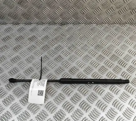 Fiat 500 Tailgate/trunk strut/damper 52240624