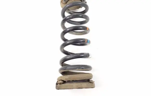 Rear coil spring