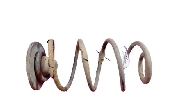 Rear coil spring