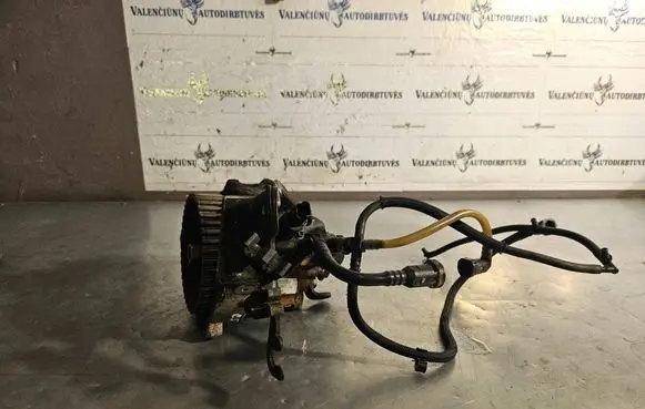 Citroen C5 Fuel injection high pressure pump 0445010021 170956