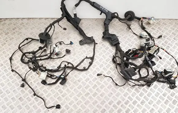 Engine installation wiring loom