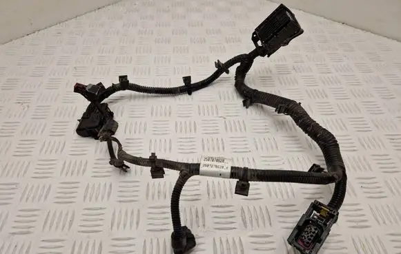 Renault Clio IV Other wiring loom 2507070620