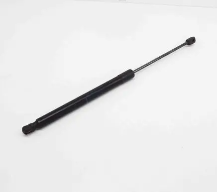 Tailgate/trunk strut/damper