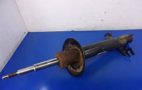 Fiat Ducato Front shock absorber with coil spring