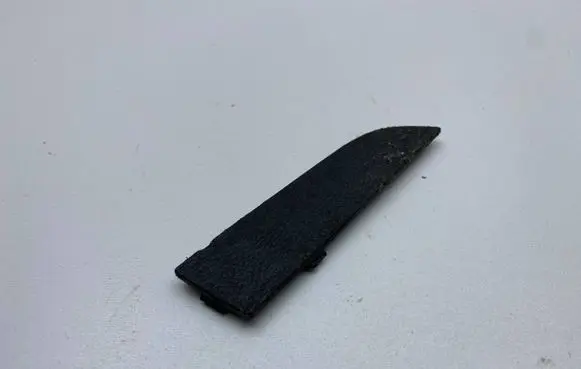 Dodge Charger Other rear door trim element 1SE59TRMAA