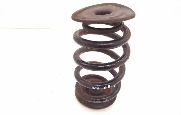 BMW X3 E83 Rear coil spring 79874081702