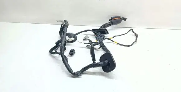 KIA Sportage Front door wiring loom 91600F1040