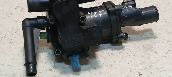 Thermostat/thermostat housing