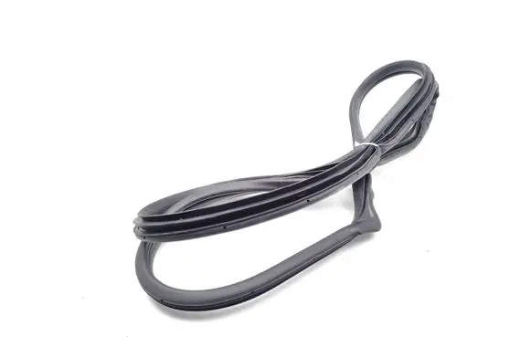 Hyundai Ioniq Rear door rubber seal (on body) 