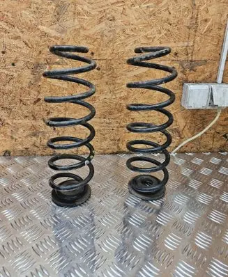 Rear coil spring
