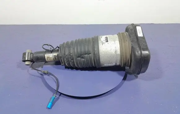 BMW X7 G07 Rear shock absorber/damper 7831561
