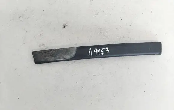 Chevrolet Captiva Front door glass trim molding 