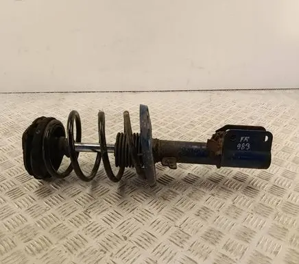 Renault Megane III Front shock absorber/damper 