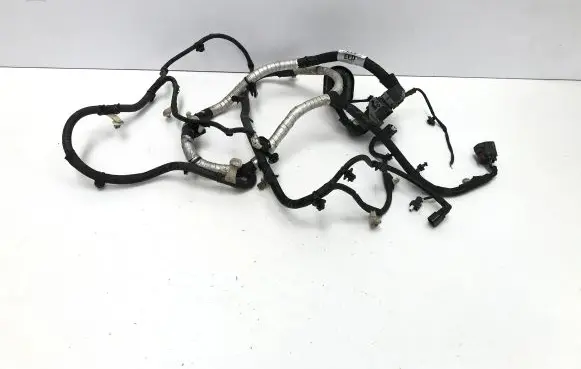 Ford Kuga III Wiring harness LX6T14B599EED
