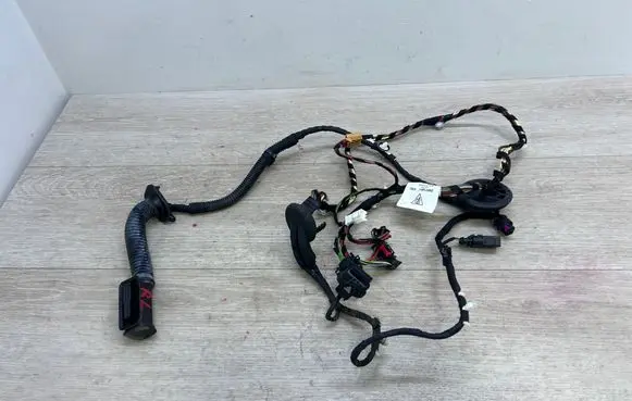Rear door wiring loom