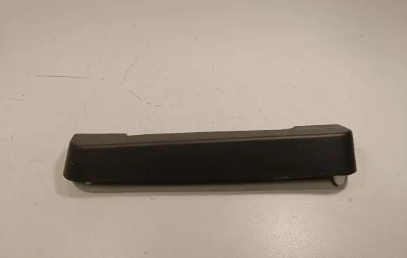 Rear/tail light trim molding