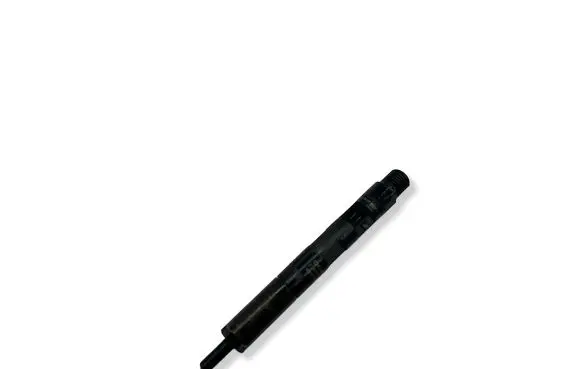 Renault Megane II Fuel injector EJBR05102D 8200815416