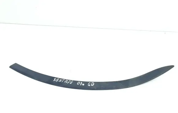 Hyundai Santa Fe Rear door trim (molding)