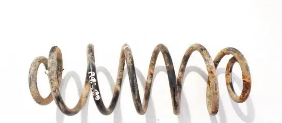 Ford Fusion Rear coil spring
