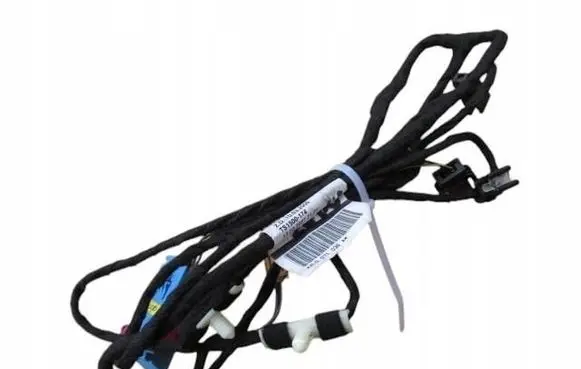 Front door wiring loom