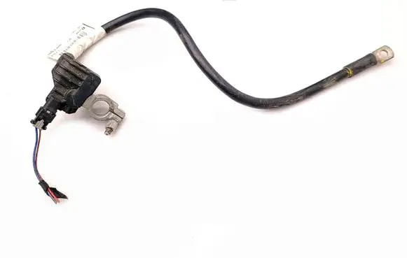 Volkswagen Crafter Negative earth cable (battery) 2E0971237G 520771F02