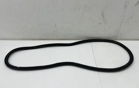 Peugeot 3008 III Rear door rubber seal (on body) 9841055180