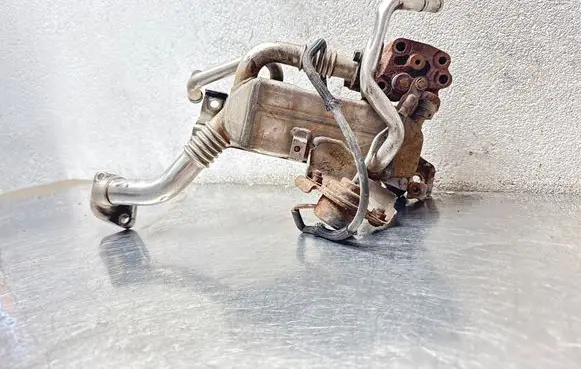 Opel Zafira B EGR valve cooler 8980525431 424648