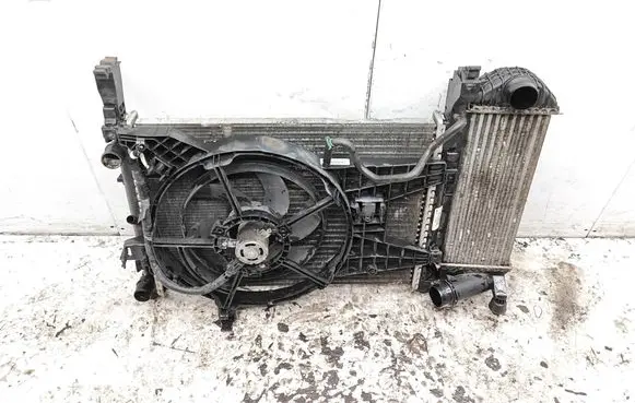 Mercedes-Benz Citan W415 Coolant radiator 8200418328 K7438006 0153612