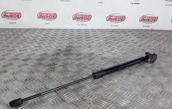 Ford B-MAX Tailgate/trunk strut/damper AV11R406A10AB
